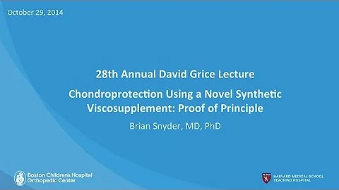 Chondroprotectio...  Using a Novel Synthetic Visco...