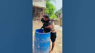 ስንት ብልጥ ስንት ሞኝ አለ አብረን እንይ Duet 