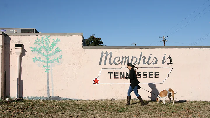 Welcome to Memphis, fUTure pharmacists!