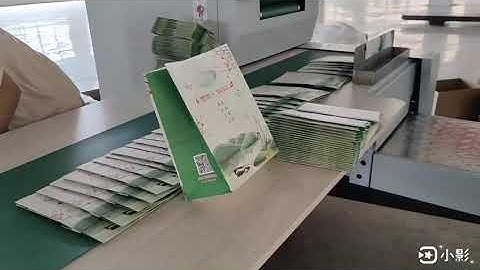 Paper Bag Making Machine With Die Cut Handle Function