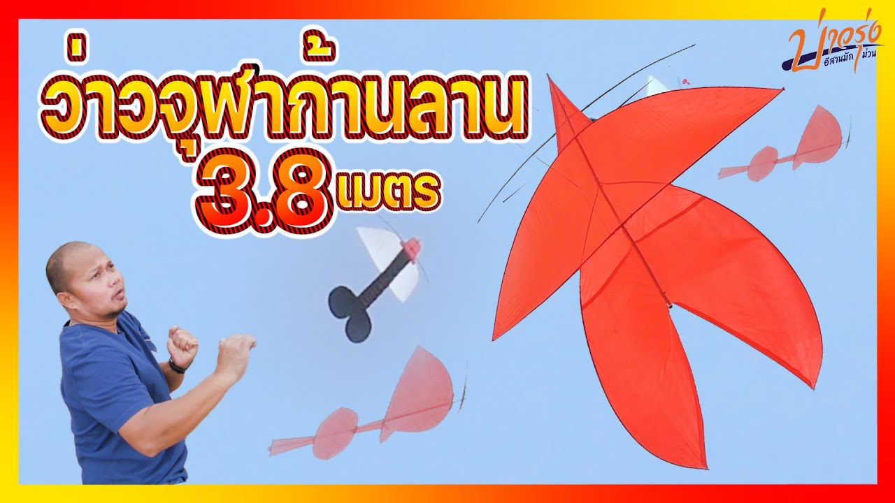 ไปเอาว่าวแม่ลูก 2.5 เมตร ปล่อยว่าว หลายตัว ลมแรงมาก