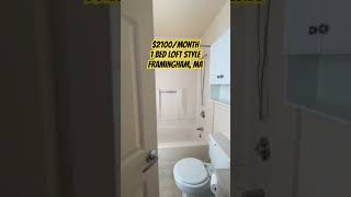 Best Framingham apartment,  perfect MetroWest location, 1 bed loft style