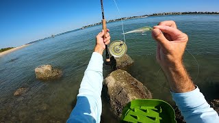 Switching Things Up  Florida Surf Fly Fishing for Snook