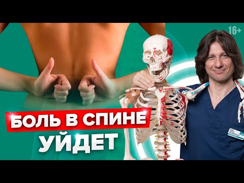 Лучшее упражнение от