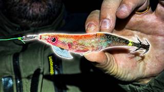 SQUID jigging/ Fishing For Beginners | Start catching Squid Today {Simple, Easy, cheap & Effective}