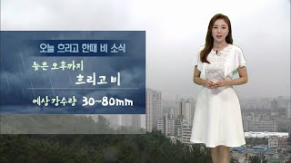 기상캐스터 윤수미의 7월 30일 날씨정보
