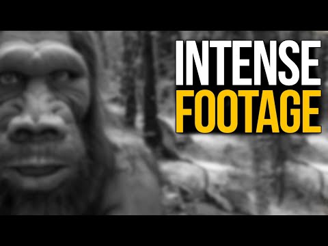 Insane Trail Cam Footage No One Was Expecting