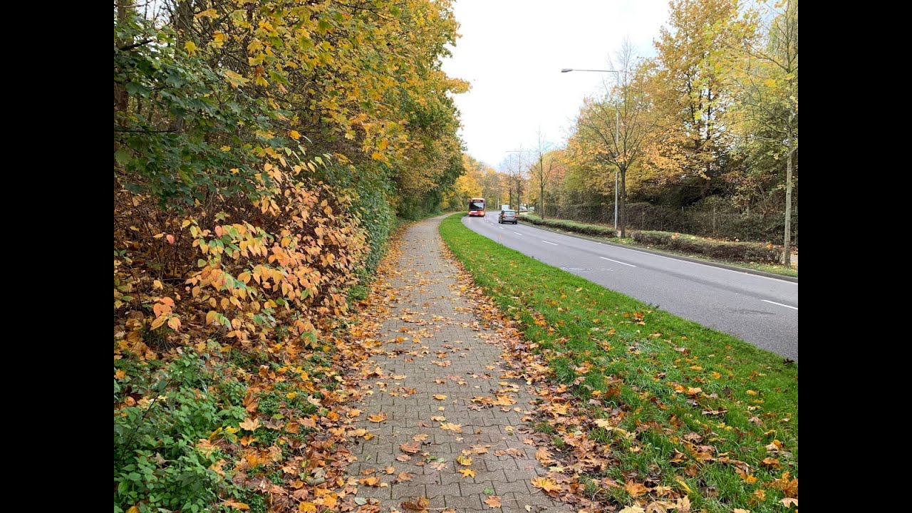 Pendeln - Ich entlaste Eschweiler