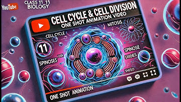 CBSE Class 11 || Biology || Cell cycle and Cell Division || Animation || in English