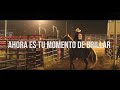 HERRADURAS PARA LOS CABALLOS DEPORTISTAS!