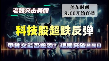 美股直播｜美股三巫日，科技股超跌反弹  #美股 #英伟达 #博通 #英特尔 #特斯拉 #soun #苹果 #投資  #crcl  #amd
