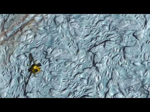 Video: Cassini Filmet For Sidste Gang Gejserne Af Enceladus - Alternativ Visning