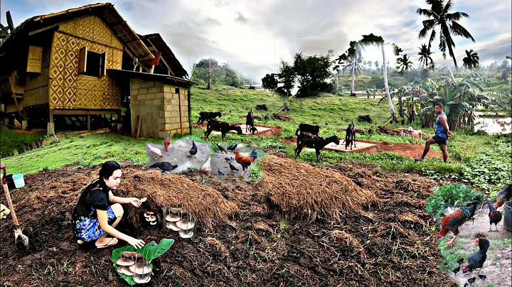 A Slice Of Beautiful Countryside Life |Cooking Edi...
