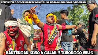 Bantengan Suro Galak❗Penonton Geger Loss Jaranan TURONGGO WILIS Live Ngrami Sukomoro Nganjuk