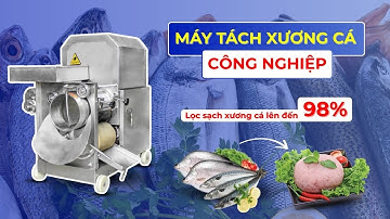 MÁY TÁCH XƯƠNG CÁ TỰ ĐỘNG - TÁCH XƯƠNG, LỌC DA CÁ SẠCH LÊN ĐẾN 98%