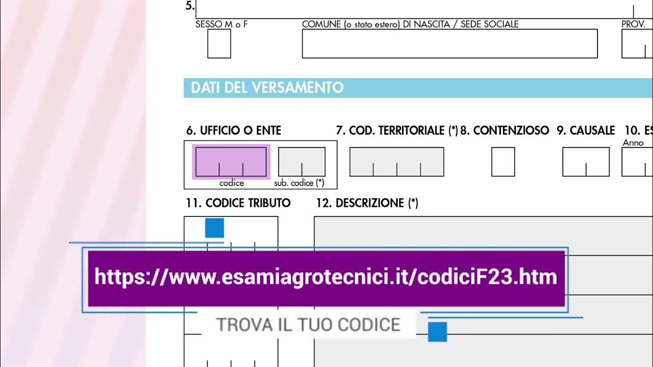 Ammissione Esame Di Stato Con Insufficienze TUTORIAL DOMANDA DI AMMISSIONE PER I DIPLOMATI "PERITO AGRARIO" - YouTube