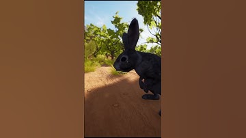 Snake Vs Rabbit In A Big Fights- Wild Animal Attacks #animals  Battle  #Shorts  Jangli Janwar TV