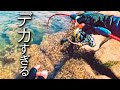 ここに居たのか。誰もが諦める「絶望の穴」に潜んでいた主を仕留める。