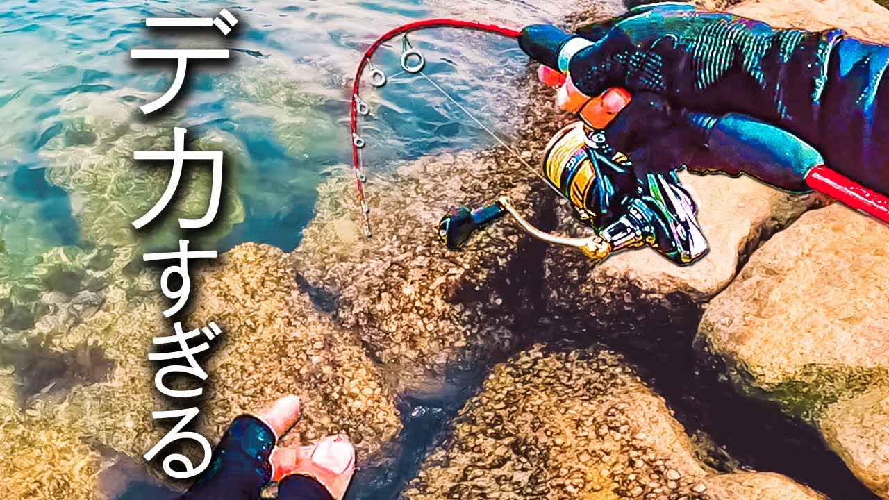 ここに居たのか。誰もが諦める「絶望の穴」に潜んでいた主を仕留める。