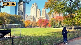 Central Park Virtual walk Manhattan Fall Foliage New York 4K Walking Through Central Park (Nov2021)