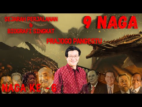 Naga Ke-6 : Prajogo Pangestu. Sejarah, Perjalanan, Dan Biografi 9 Naga Indonesia.