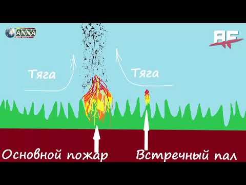 тушение лесных пожаров