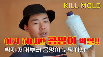 관02 벽면 가득한 곰팡이 제거 방법 3단계 (락스, 곰팡이 코팅제)