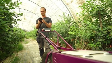 Robee: The Smarter Way to Pollinate Blueberries