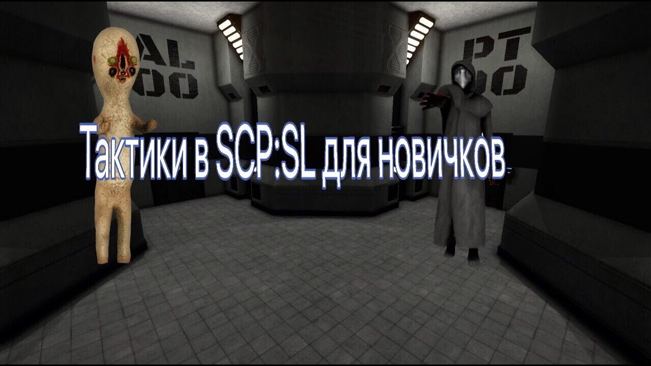 Scp гайды