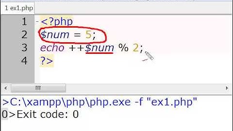 C1 PHP Practice Exercise 1   rand echo and ++