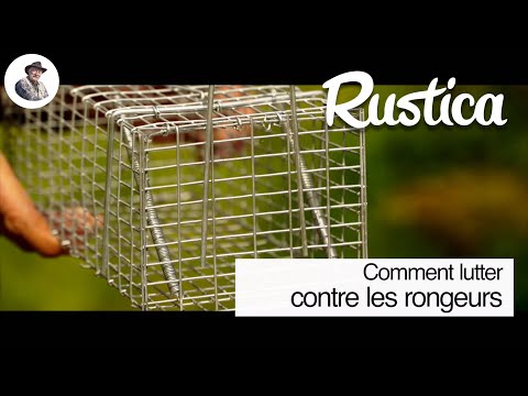 Vidéo: Lutte Contre Les Rongeurs Dans Le Jardin