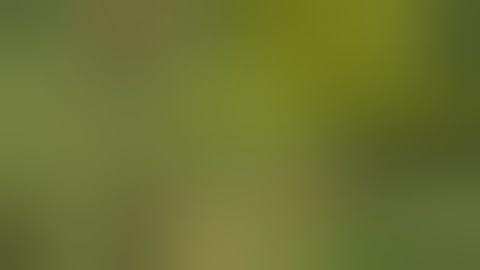 Zerando Black Hawk Down (EMULADOR DE JAVA PARA ANDROID)