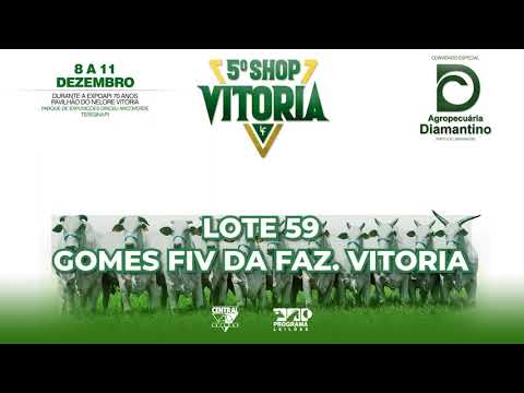 LOTE 59   LFFV 461