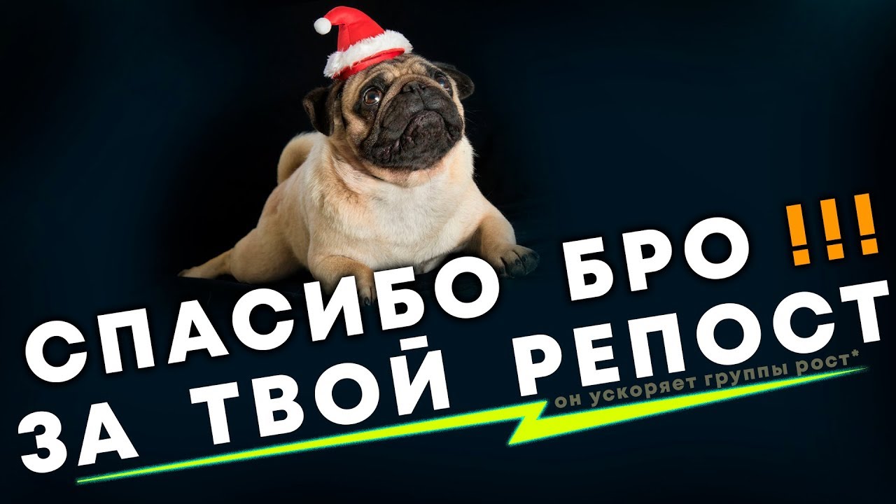 Спасибо бро картинки