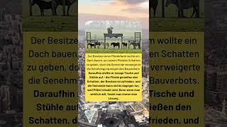 Ein Bauer Findet Eine Geniale Lösung, Als Die Gemeinde Ihm Alles Verbietet