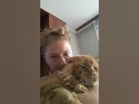 Очень деловой кот Джокер. - YouTube