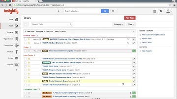 Using Insightly for Task Management - Virtual Assistant Iris