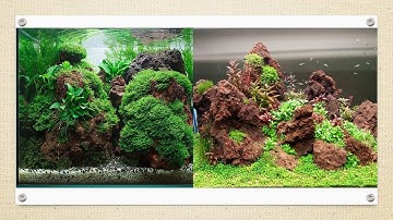 Đá Nham thạch: vật liệu lọc và trang trí quan trọng cho bể cá | Yeucay.vn