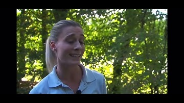 De buurtpolitie Femke neer gestoken