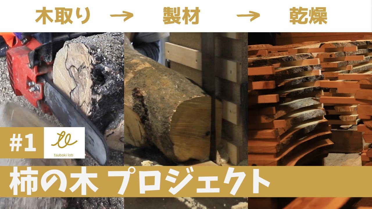 造形に使用される方交渉中、伐採した柿の木6m 1] 廃棄処分の柿の木を製材したら100枚の板材に！！ - YouTube
