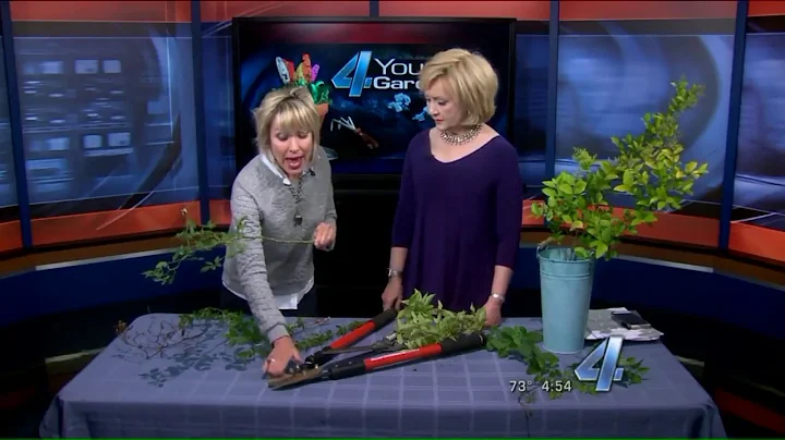 Proper Pruning Techniques | KFOR 4 Your Garden