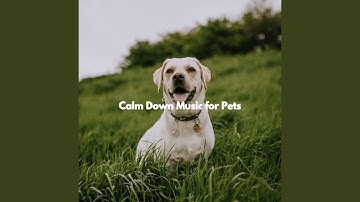 Spirited Backdrops for Private Things