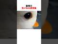 動物のいろんな表情