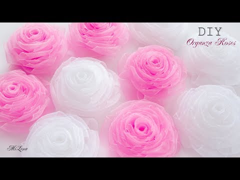 Vídeo: Cobrint Roses Per A L'hivern. Com és Correcte?