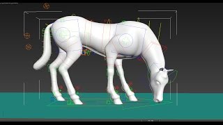 Crazy Animals:Horse Rig