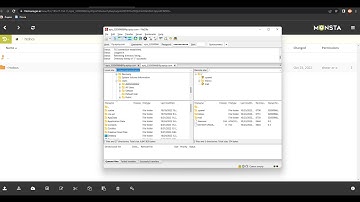 How to connect Fileszilla and Infinity Free File Manger for FTP