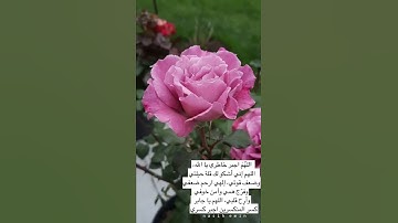 ما أجملها من آيات تتلى - آيات خاشعة مليئة بالطمأنينة - الحمد لله رب العالمين