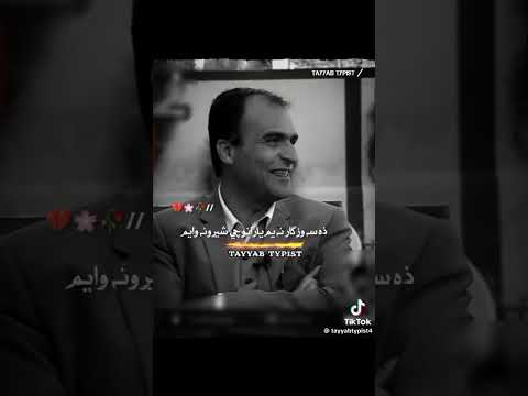 Bakht Zada Danish New Viral Poetry Pashto Poetry Tiktok Tiktokviral Newpoetry New