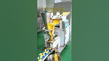 Fully automatic dumpling machine, producing 9000 dumplings per hour#dumpling machine