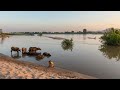 P C III - Where The River Bends | River | Relax Music Vol. 0026 | 4K